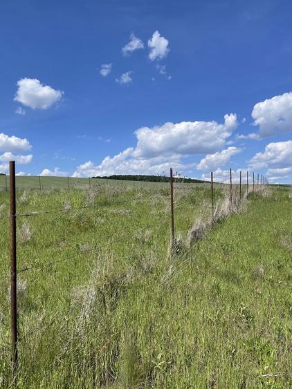 Teren intravilan - 4