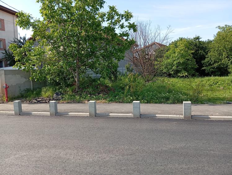 Teren de vanzare Chiajna Campului -intr. Trandafirilor - 2