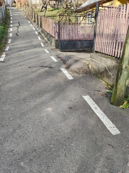 Casa batraneasca de vanzare - 3