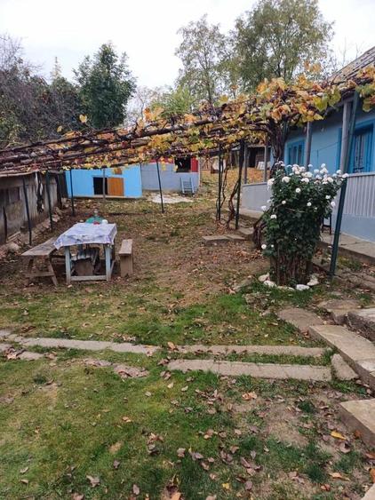 Casa batraneasca +teren 3000 mp la doar 18 km de Oras ! - 2