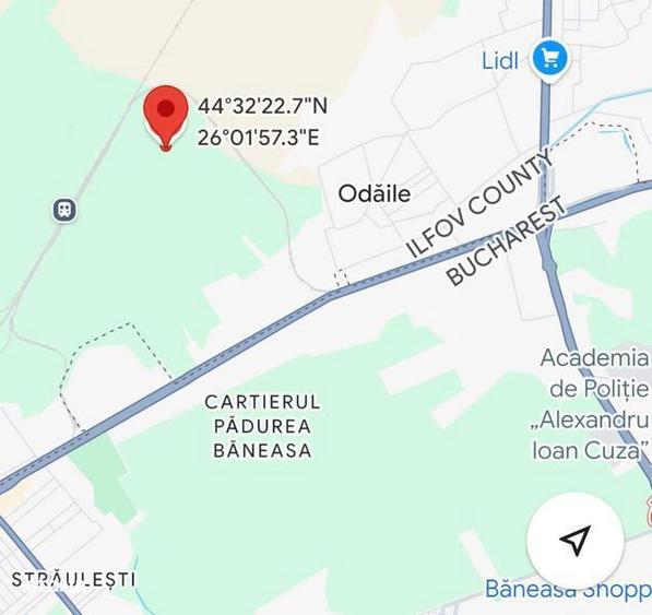 Vanzare teren extravilan Mogosoaia - 1