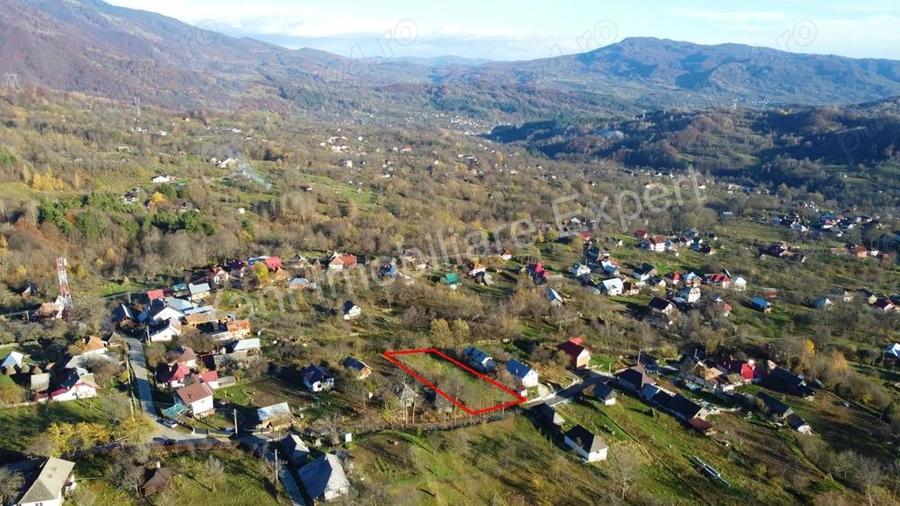 Teren de vanzare in comuna Arefu, jude? Arge?, in apropiere de Transfagara?an. - 14