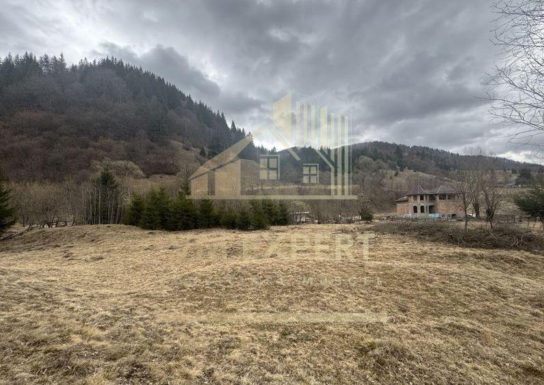 TEREN INTRAVILAN 500 MP SATIC- RUCAR - 11