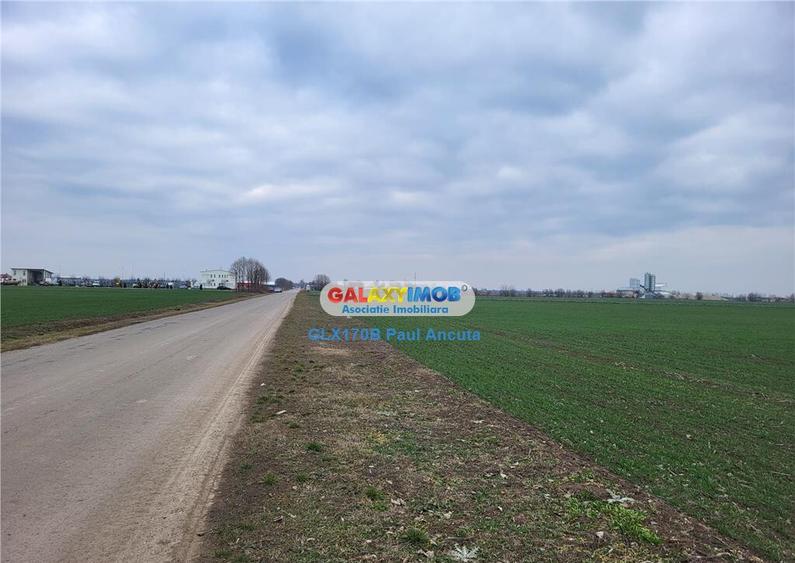 Teren Moara Vlasiei 65000 mp Industrial utilitati apropiere - 1