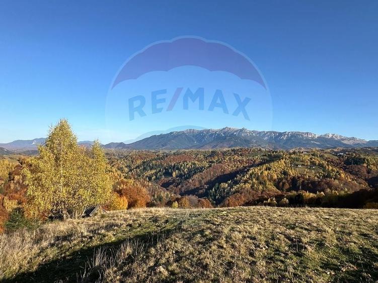 Oportunitate de investiție ! Teren de vis în Pestera - 125.370 mp - 2