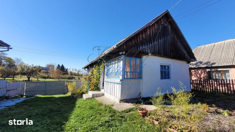 Teren intavilan, 4800 mp, front la strada, utilitati, Rasca - 1