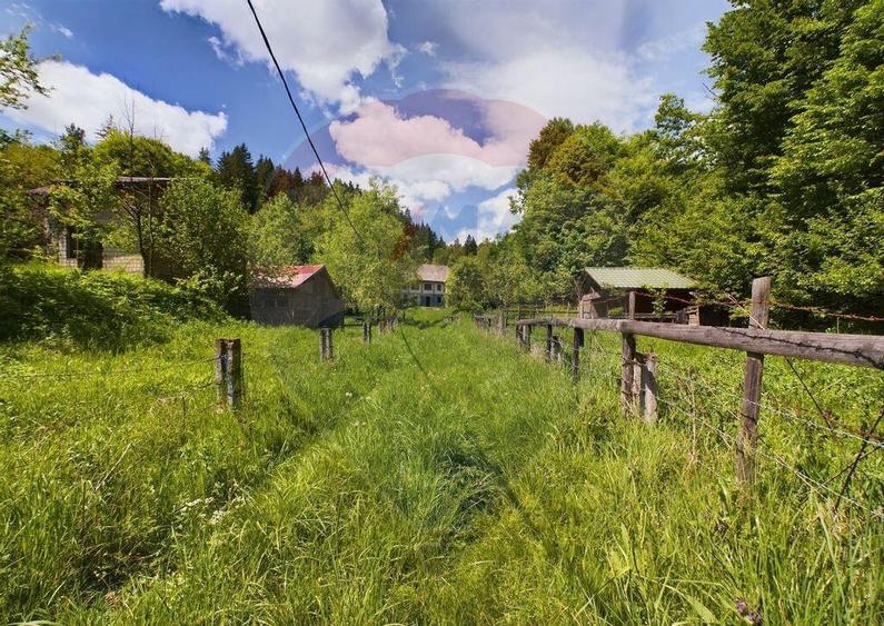 Comision 0%! Proprietate in natura, priveliste superba, S... - 1