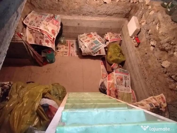 Casa, gradina, teren mare - Palazu Mare - 1