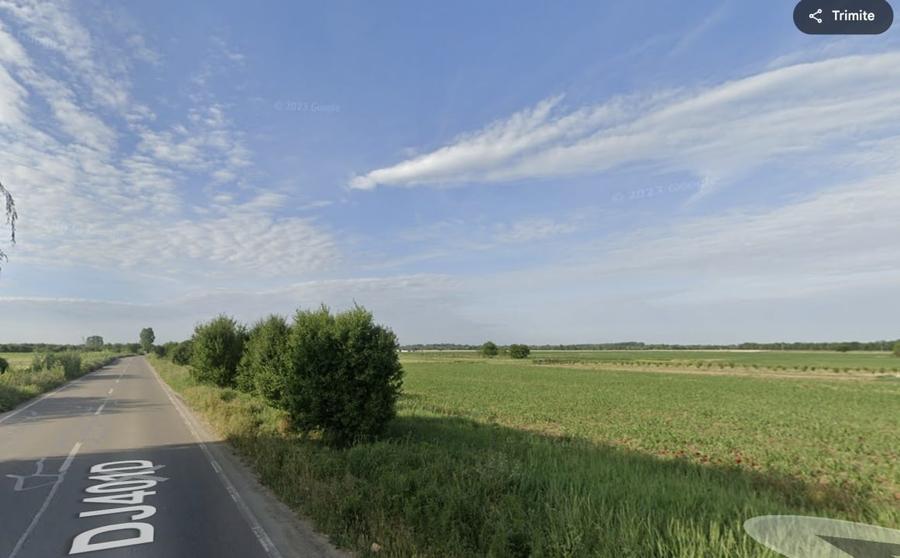 Teren de vanzare - 1 Decembrie - 4