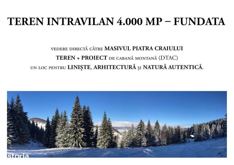 Teren intravilan 4.000 mp FUNDATA | vedere Piatra Craiului | proiect | - 2