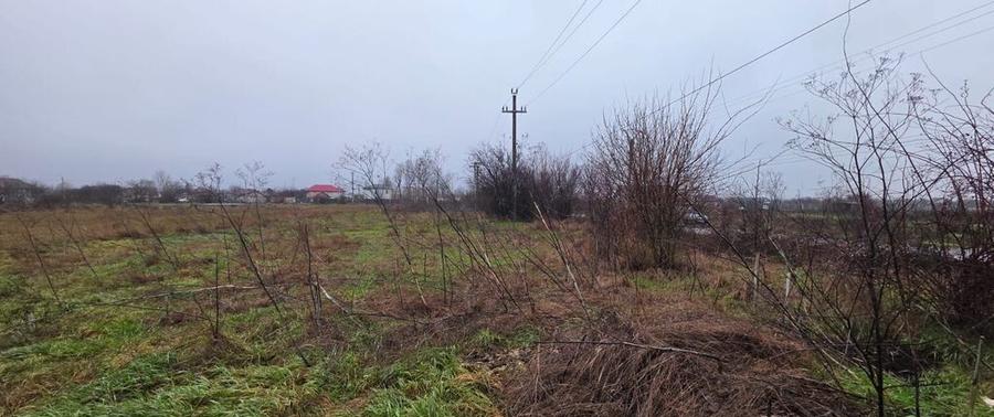 Teren 5000 mp 1 decembrie - strada Oituz - 12