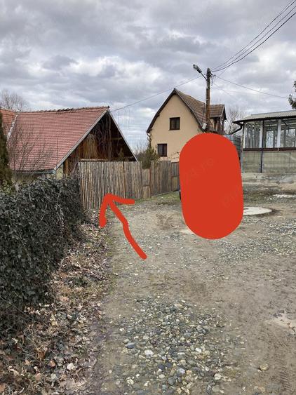 Casa cu padure, rau si cascada Fantanele - 2