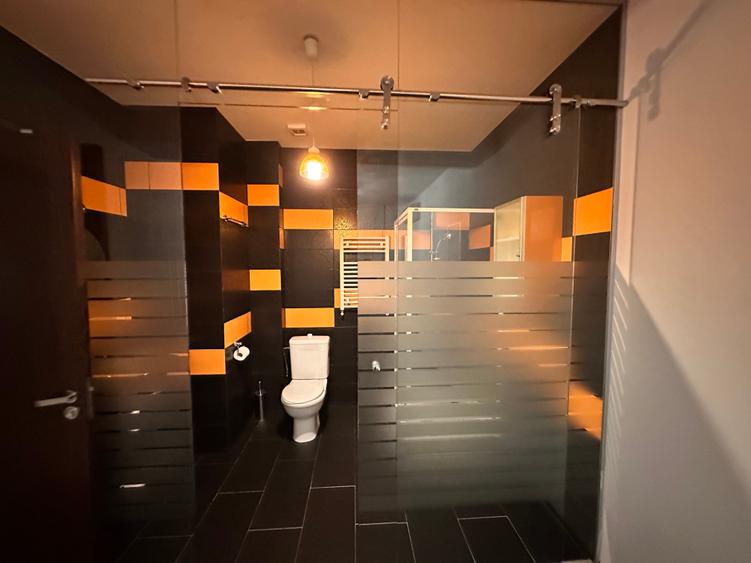 Herastrau -Nordului 3 camere mobilat - 8