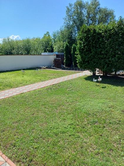 Casa 750 mp, curte individuala, garaj, foisor, Prejmer - 3