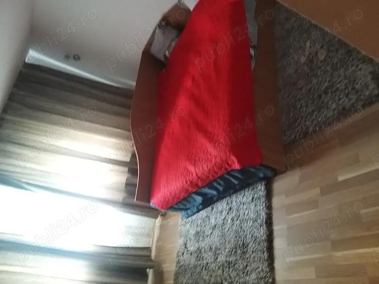 Vand casa in localitatea Ianosda. - 1