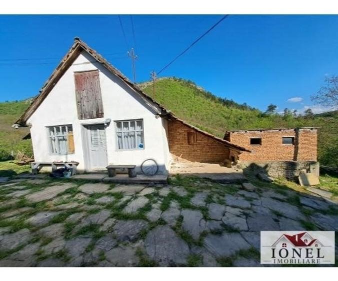 Casa de vanzare cu 46774 mp teren in zona Vintu - 5