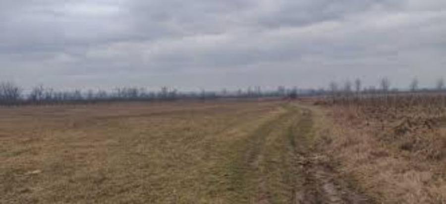 17 ha terenuri agricole la Goiesti judetul Dolj - 1