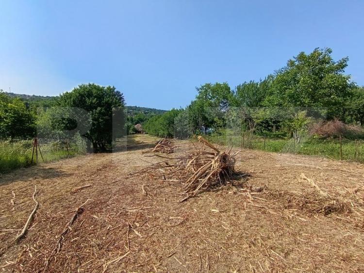 Casa cu 2 camere, 250 mp, zona sud-est - 6