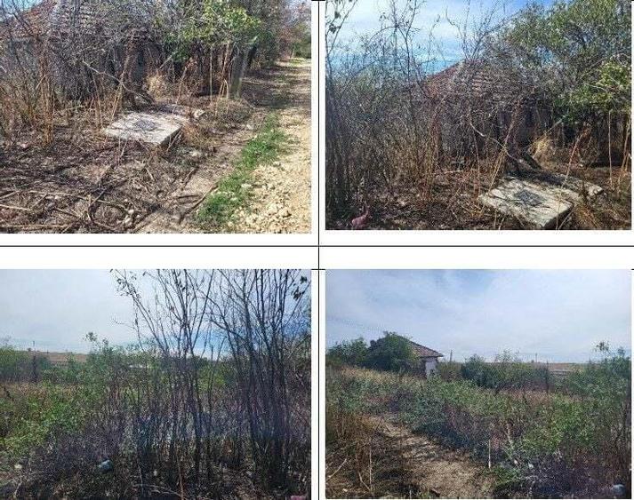 Casa si teren Sat Guruieni, cota parte de 1/2 , ID: R2319667 - 9