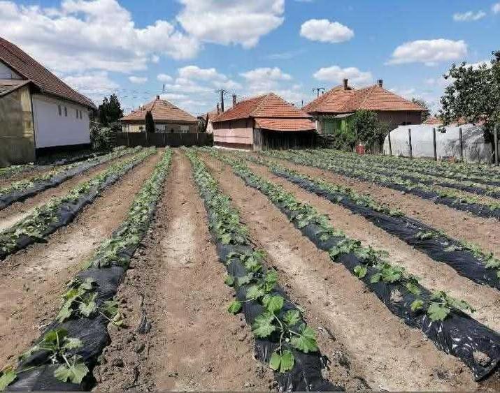 Casa de vanzare in Ungaria (Mehkerek) Zona de granita, comunitate romaneasca - 7