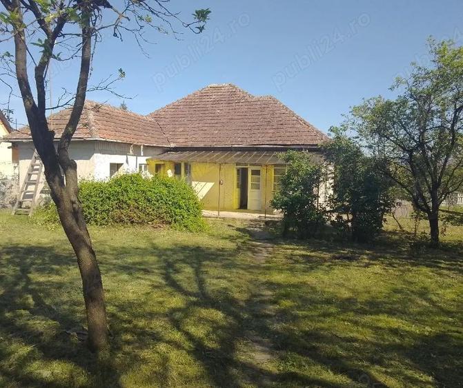 Casa in Viile Satu Mare - 1