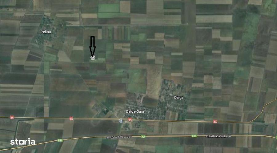 Teren extravilan, Loc Dor Marunt, Jud. Calarasi - 2