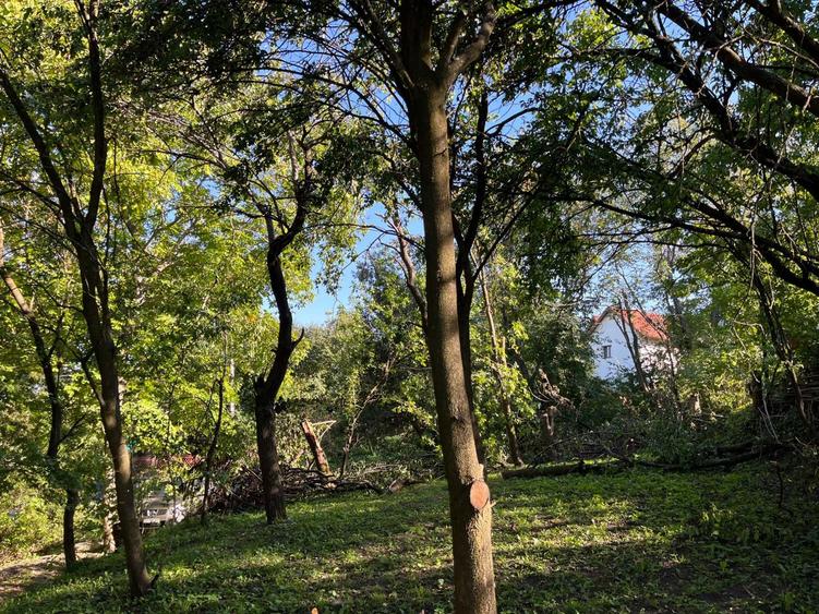 Teren 2030 mp | Sat Gheorghieni | Asfaltat | Pers. Fizica - 3