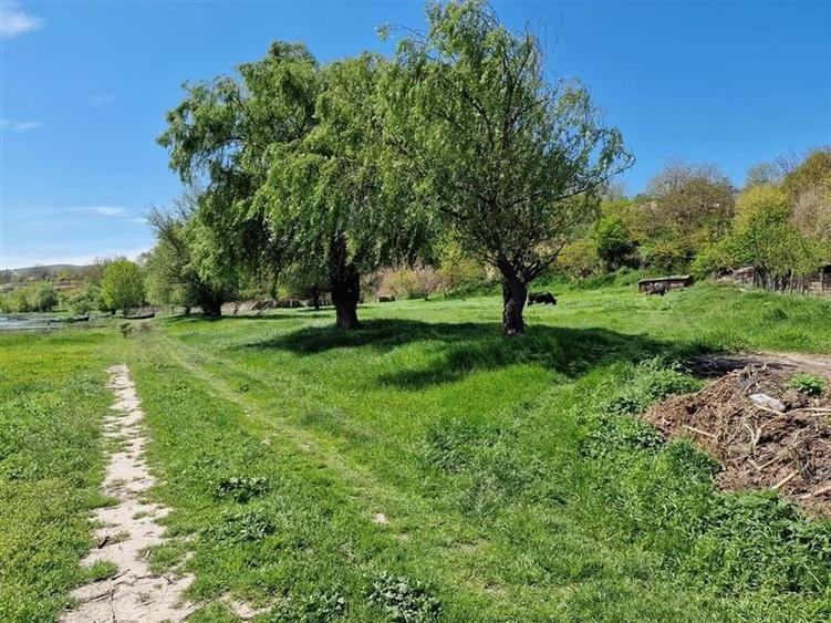Teren cu deschidere la lac de vanzare in localitatea Somova Tulcea - 2
