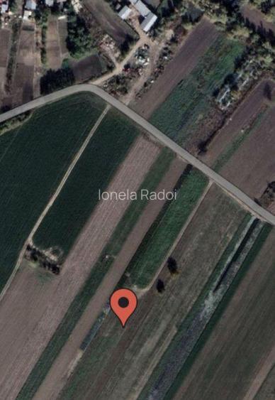 Teren str Unirii Magurele Varteju