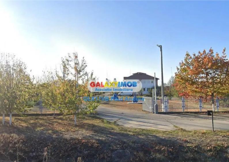 Teren Butimanu 32000 mp intravilan acces 66 m la 2 drumuri - 1