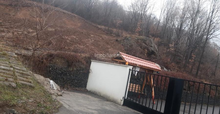 Viilor, 20 ari teren