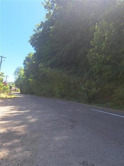 RECO Apartament cu doua camere in Padurea Neagra - 4