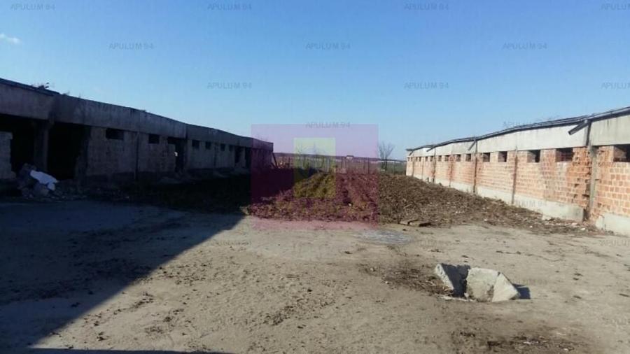 Teren Balotesti- Saftica- ideal pentru constructie locuinte. - 1