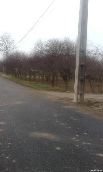 Teren de 800 mp, în Ulmi