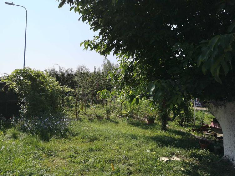 Casă cu 4 camere cu Teren 2463 Mp în Bartolomeu