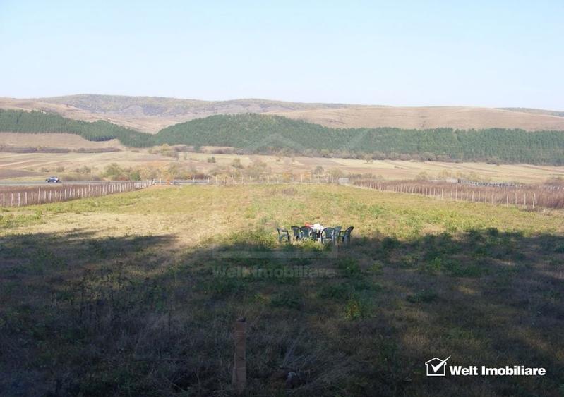 Teren Construcții extravilan de 10800 mp, în Gilău