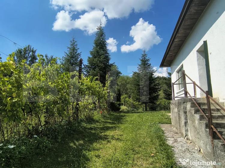 Casă cu 4 camere cu Teren 7729 Mp în Central