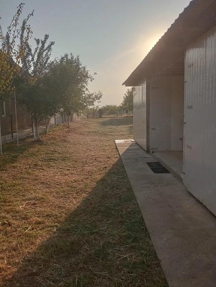 Casă cu Teren 719 Mp în Hodoni