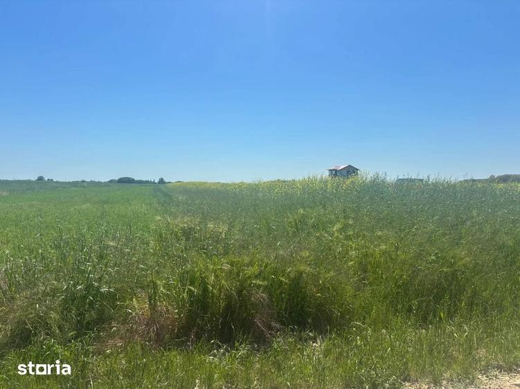 Teren de 500 mp, în Vidra