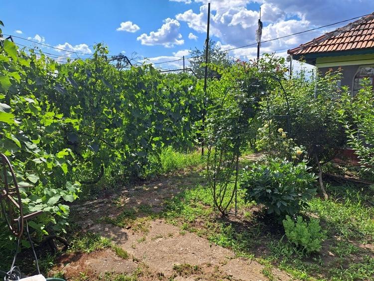 Direct Proprietar Oferta Casa de vanzare cu 4 camere si garaj plus teren generos 1280mp cu deschidere 32 in Ialomita Closca Sinesti - 6