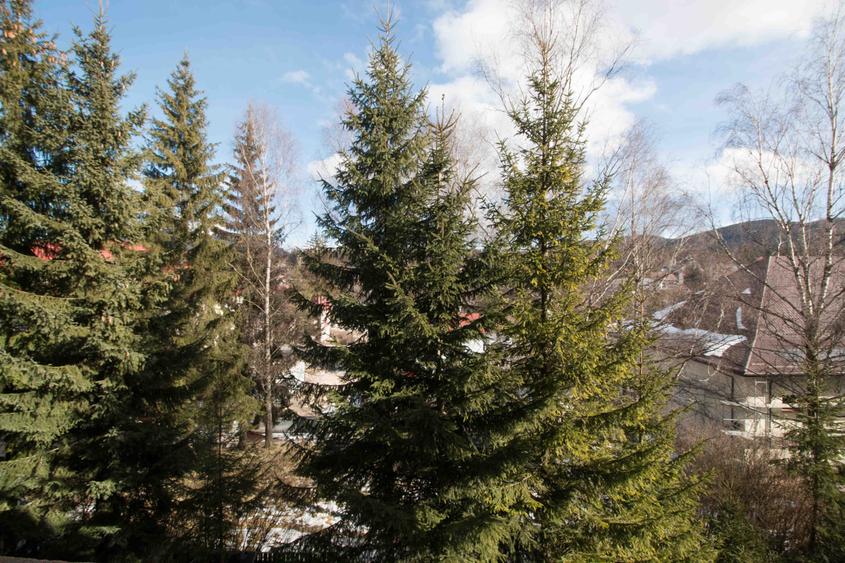 Garsoniera dubla central - 9