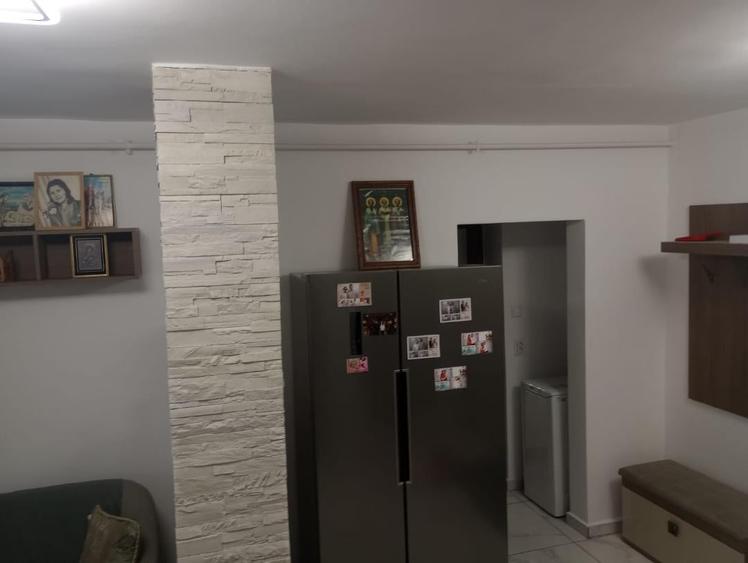 VANZARE 2 CAM MARGEANULUI- PETRE ISPIRESCU - 7