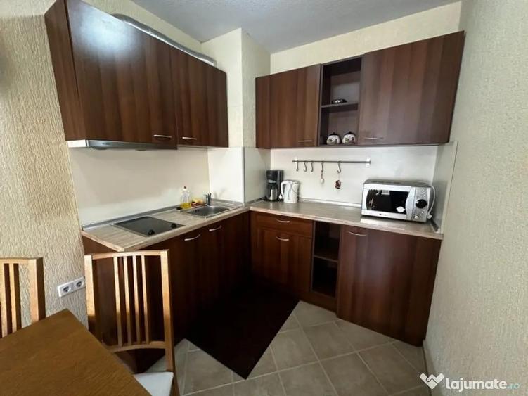 Aparatment 1 camera de vanzare Badea Cartan - 2