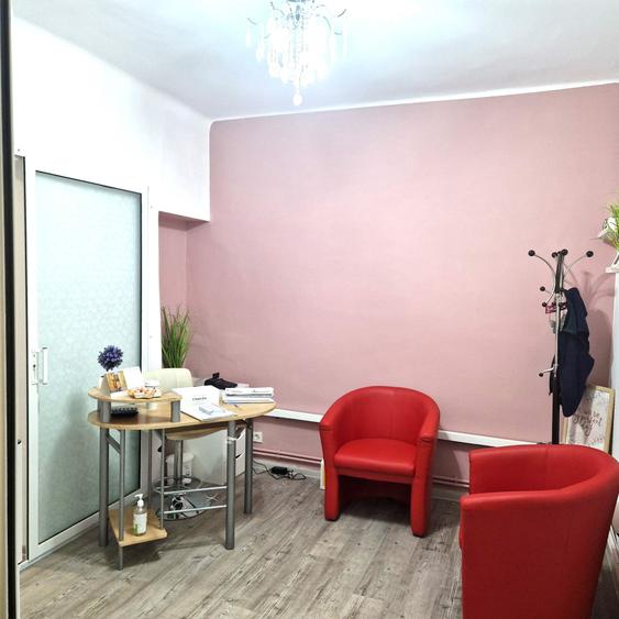 Birou zona  centrala - gradina proprie - 4