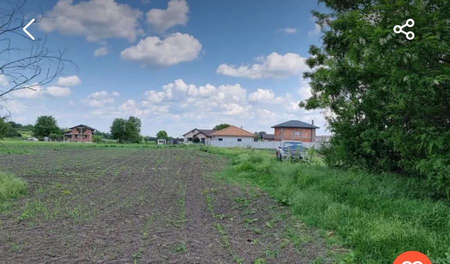 Loturi 450 mp Buftea Darza  preț 8500 euro  - 1