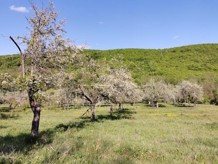 Teren de Vânzare, Budeasa Mica – Potrivit pentru Casă de Vacanță sau Investiție - 12