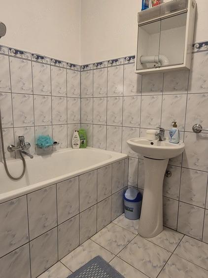 Casă cu Teren 1380 Mp în Suceagu