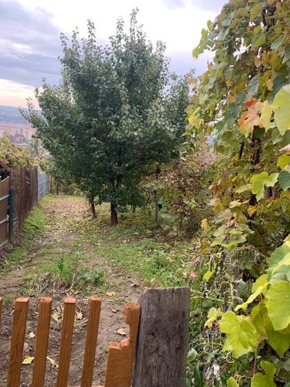 Casa de vanzare - BLAJ - 5