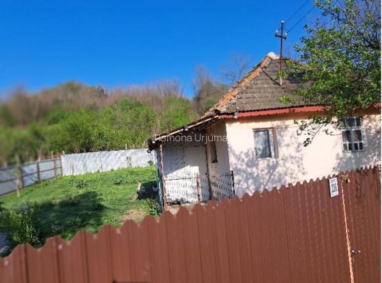 Casa si teren-com. Licurici, loc. Negreni, jud Gorj Casa si teren-com. Licurici, loc. Negreni, jud Gorj