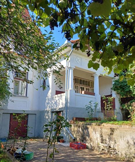 Casa de vanzare - 1